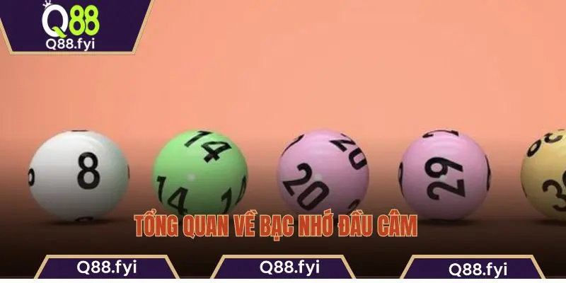 Tổng quan về bạc nhớ đầu câm