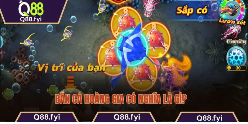 Bắn cá Hoàng Gia có nghĩa là gì? 
