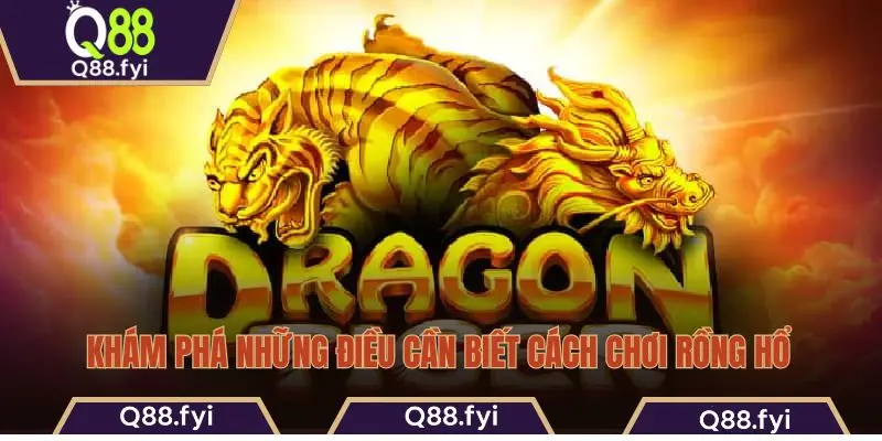 Khám phá những điều cần biết cách chơi Rồng Hổ