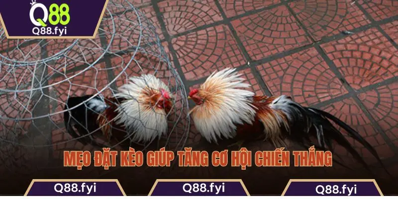 Mẹo đặt kèo giúp tăng cơ hội chiến thắng