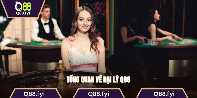 Tổng quan về đại lý Q88