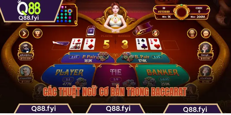 Các thuật ngữ cơ bản trong Baccarat