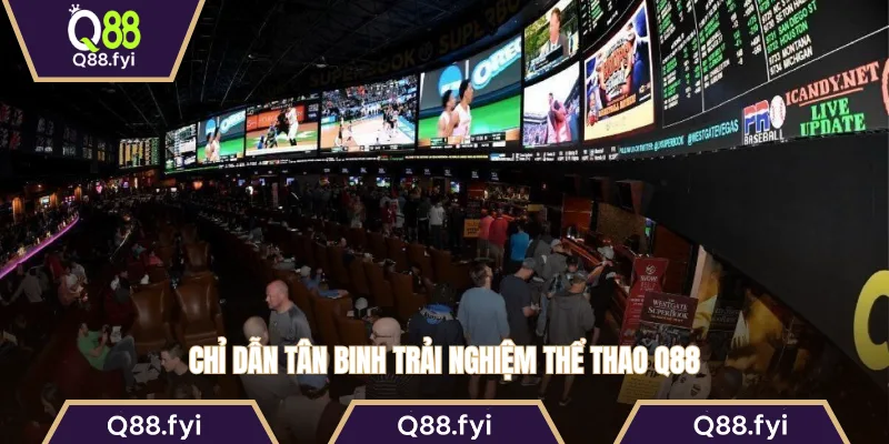 Chỉ dẫn tân binh trải nghiệm thể thao Q88