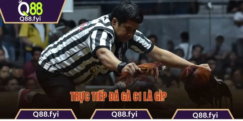 Trực tiếp đá gà C1 là gì?