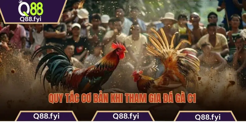 Quy tắc cơ bản khi tham gia đá gà C1